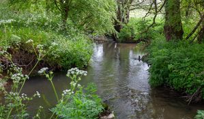 River- click for photo gallery